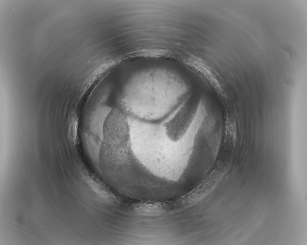 X0000115120110200911101634
