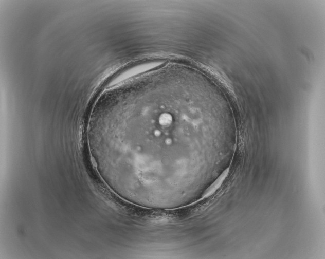 X0000115120111200911101634