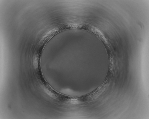 X0000115120114200911101634