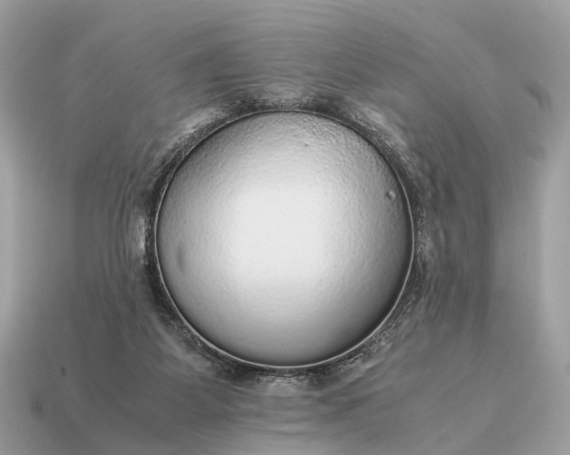 X0000115120115200911101634