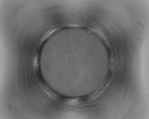 X0000115120116200911101634