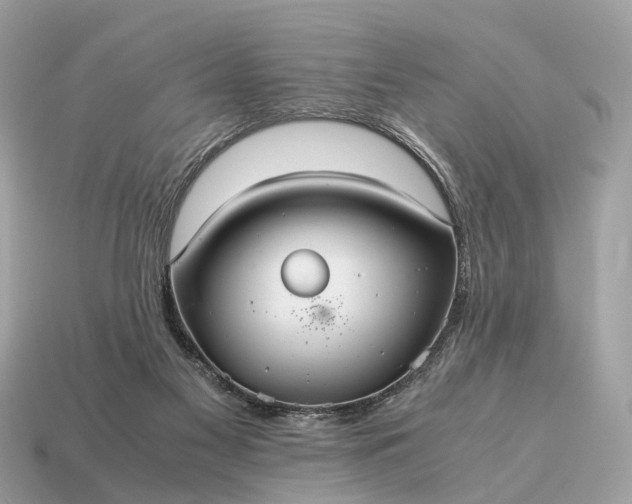 X0000115120117200911101634