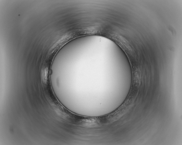 X0000115120118200911101634