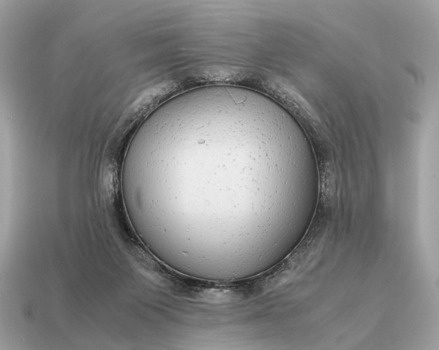 X0000115120119200911101634