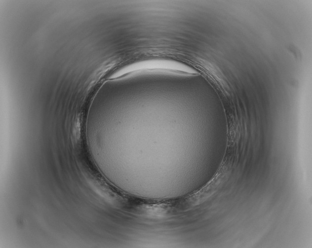 X0000115120120200911101634