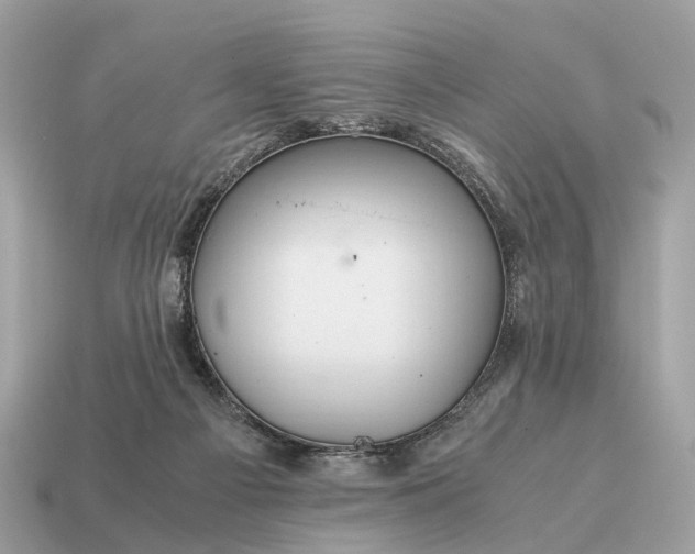 X0000115120121200911101634