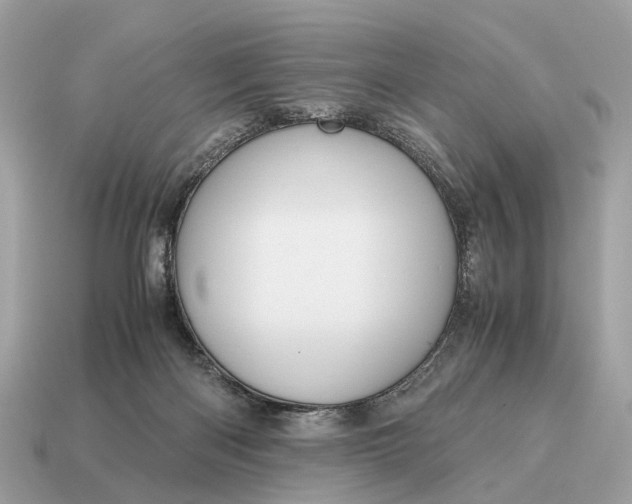 X0000115120122200911101634