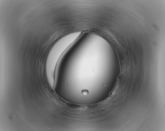 X0000115120124200911101634