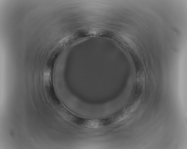 X0000115120127200911101634