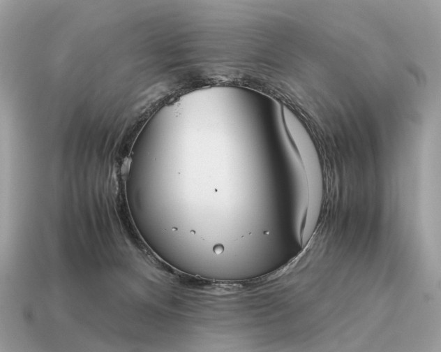 X0000115120128200911101634