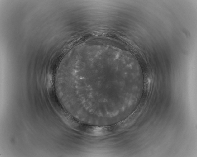 X0000115120130200911101634