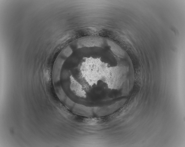 X0000115120131200911101634