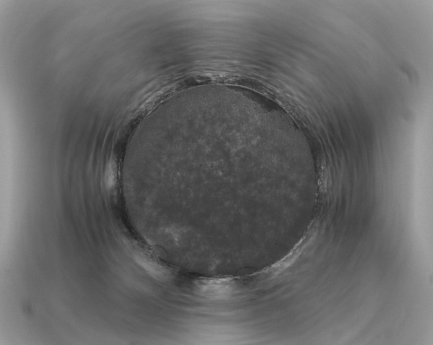 X0000115120132200911101634