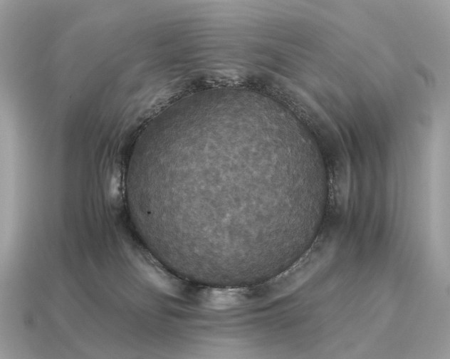 X0000115120134200911101634