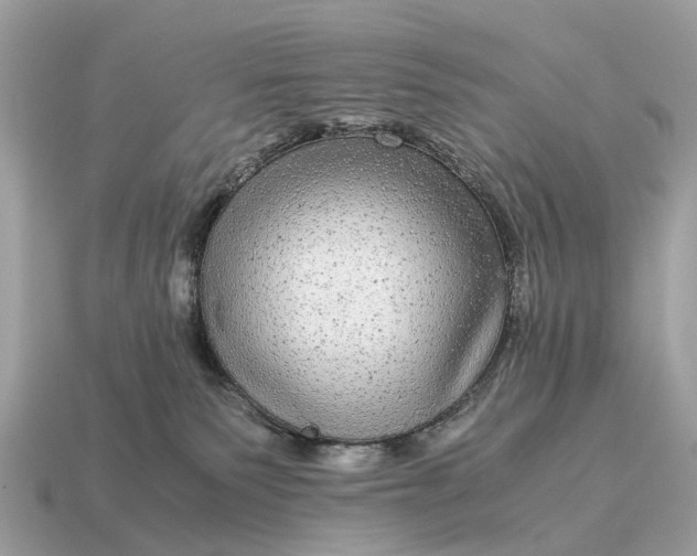 X0000115120135200911101634