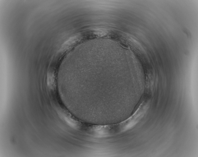 X0000115120136200911101634