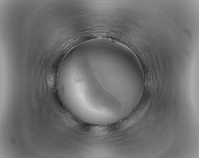 X0000115120139200911101634