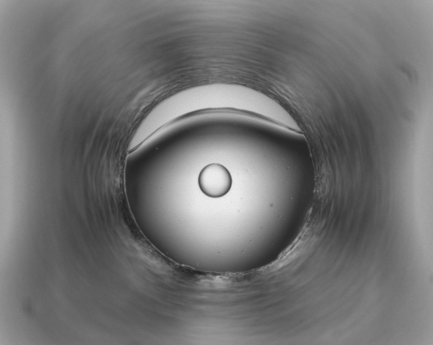 X0000115120140200911101634