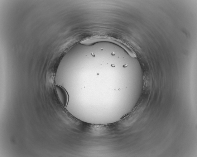 X0000115120141200911101634