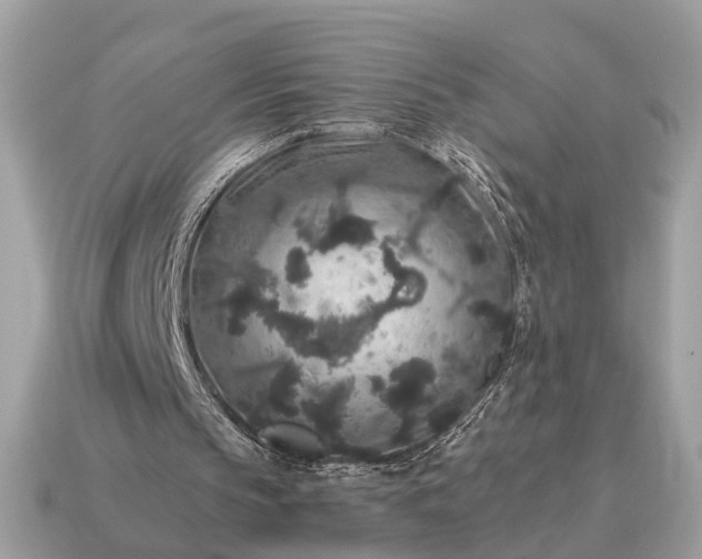 X0000115120145200911101633