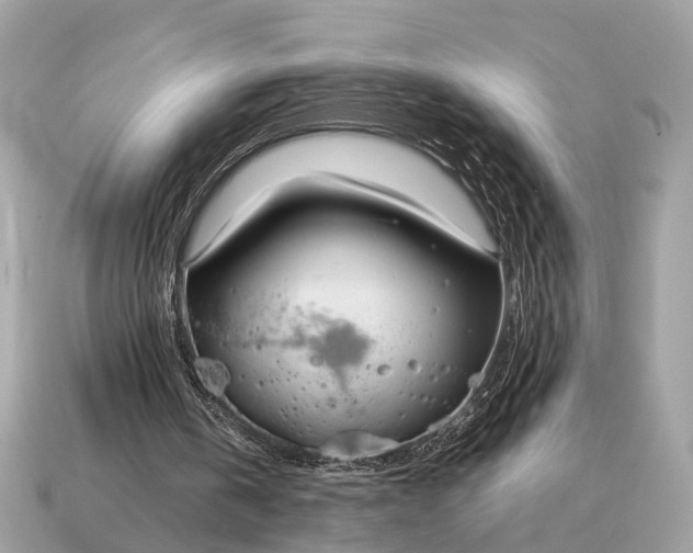 X0000115120146200911101633