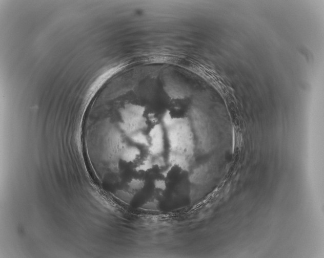 X0000115120147200911101633