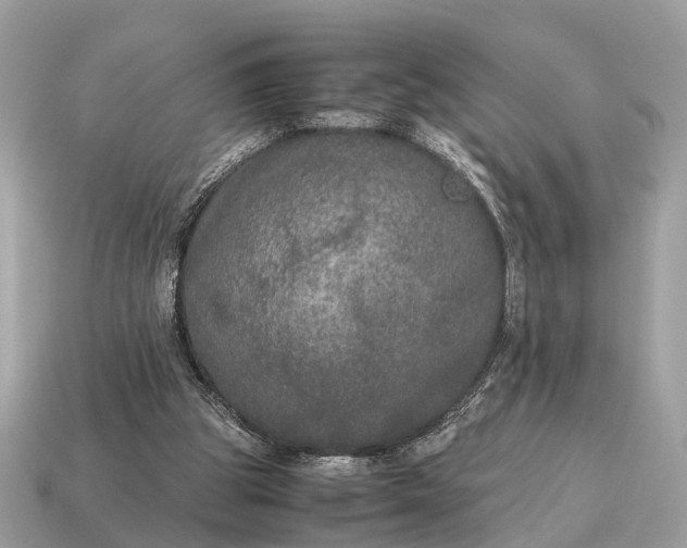 X0000115120153200911101633
