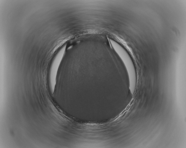 X0000115120154200911101633