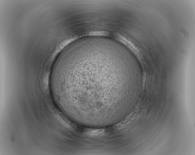 X0000115120155200911101633