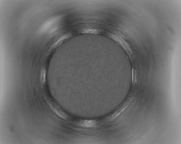 X0000115120157200911101633