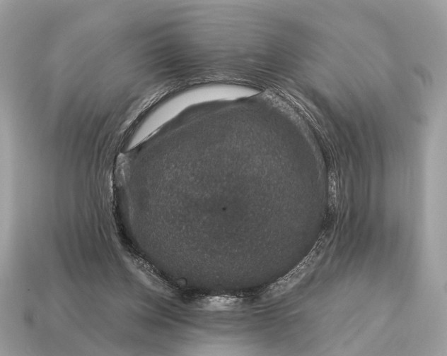 X0000115120158200911101633