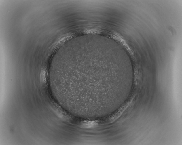 X0000115120161200911101633