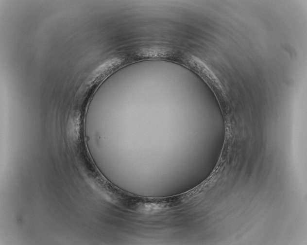 X0000115120163200911101633