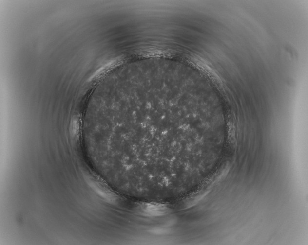 X0000115120165200911101633