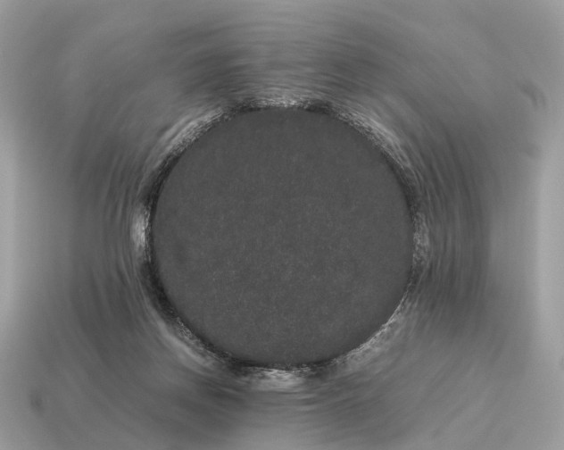 X0000115120166200911101633