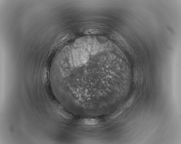 X0000115120169200911101633