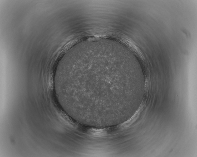 X0000115120170200911101633