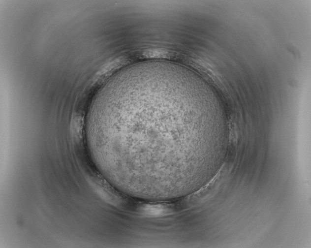 X0000115120171200911101633