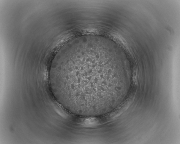 X0000115120173200911101634