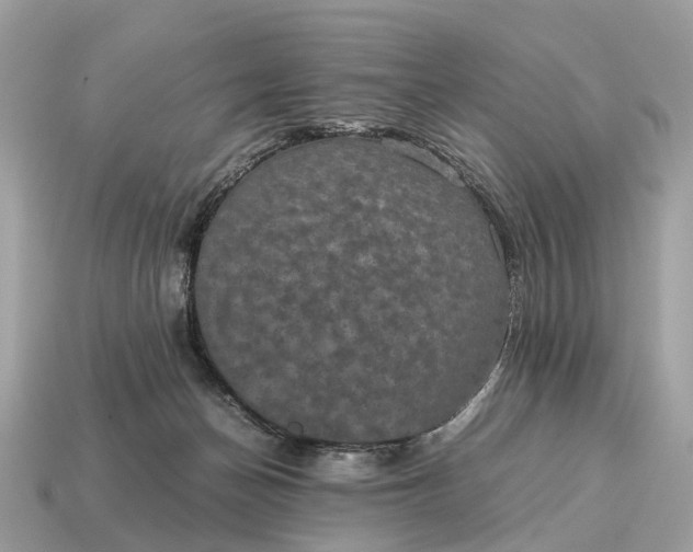 X0000115120174200911101634