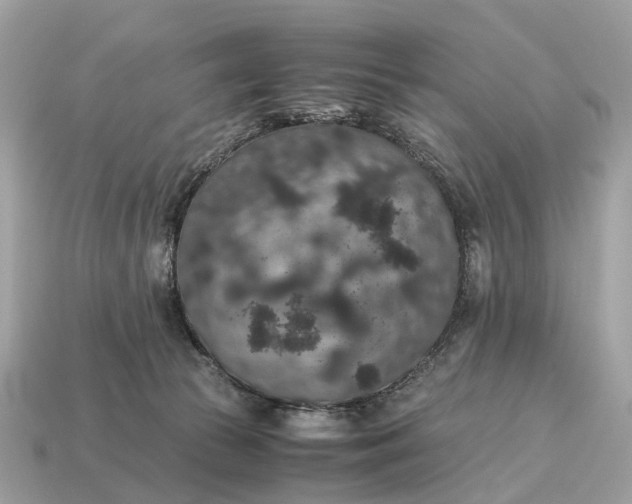 X0000115120177200911101634