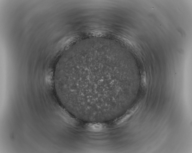 X0000115120181200911101634