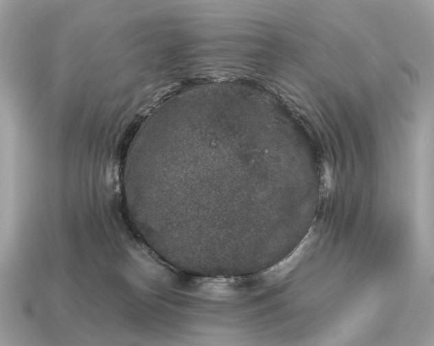 X0000115120182200911101634