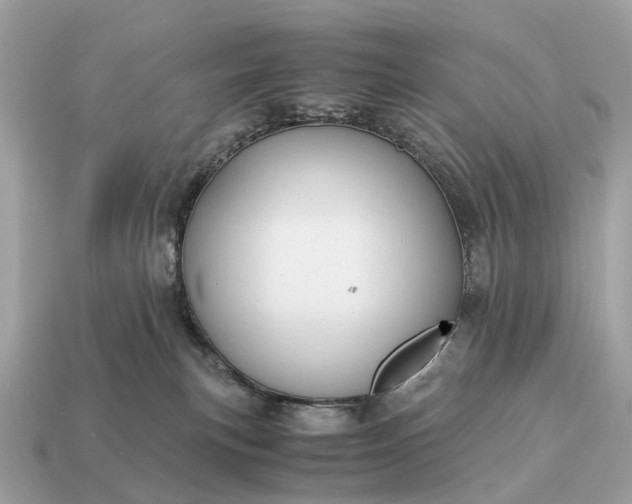 X0000115120183200911101634