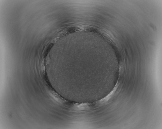 X0000115120186200911101634