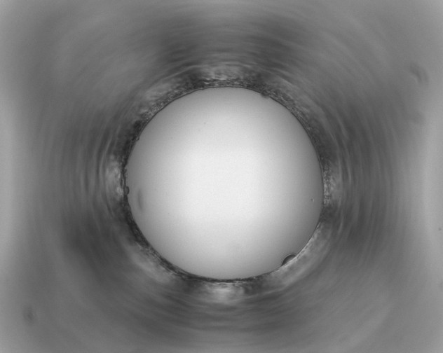 X0000115120187200911101634