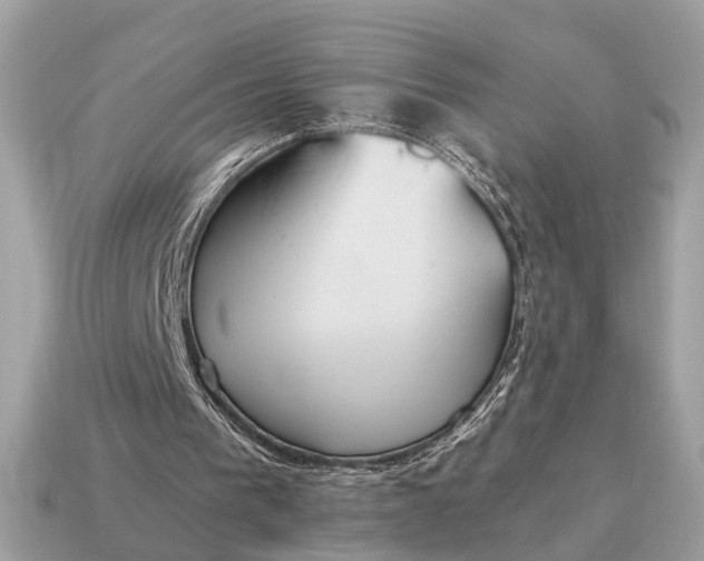 X0000115120193200911101633