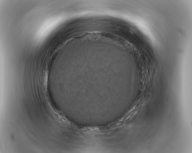 X0000115120194200911101633