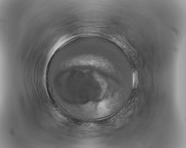 X0000115120195200911101633
