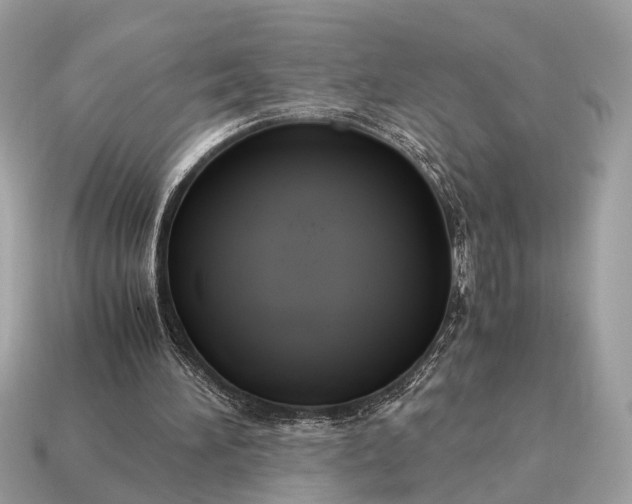 X0000115120196200911101633